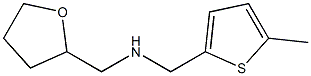 [(5-methylthiophen-2-yl)methyl](oxolan-2-ylmethyl)amine