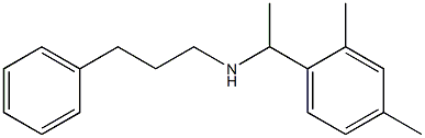 [1-(2,4-dimethylphenyl)ethyl](3-phenylpropyl)amine|