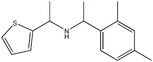 [1-(2,4-dimethylphenyl)ethyl][1-(thiophen-2-yl)ethyl]amine