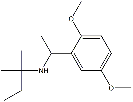  [1-(2,5-dimethoxyphenyl)ethyl](2-methylbutan-2-yl)amine