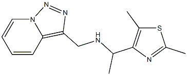 [1-(2,5-dimethyl-1,3-thiazol-4-yl)ethyl]({[1,2,4]triazolo[3,4-a]pyridin-3-ylmethyl})amine|