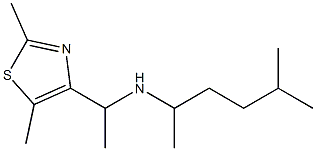 [1-(2,5-dimethyl-1,3-thiazol-4-yl)ethyl](5-methylhexan-2-yl)amine