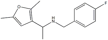  [1-(2,5-dimethylfuran-3-yl)ethyl][(4-fluorophenyl)methyl]amine