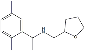 [1-(2,5-dimethylphenyl)ethyl](oxolan-2-ylmethyl)amine 化学構造式