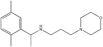 [1-(2,5-dimethylphenyl)ethyl][3-(morpholin-4-yl)propyl]amine