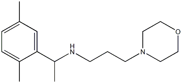 [1-(2,5-dimethylphenyl)ethyl][3-(morpholin-4-yl)propyl]amine 结构式