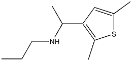 [1-(2,5-dimethylthiophen-3-yl)ethyl](propyl)amine|