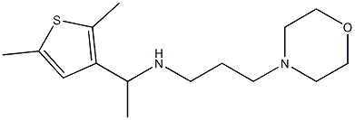 [1-(2,5-dimethylthiophen-3-yl)ethyl][3-(morpholin-4-yl)propyl]amine Structure