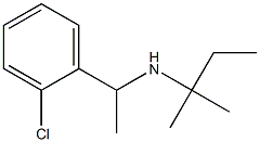  [1-(2-chlorophenyl)ethyl](2-methylbutan-2-yl)amine