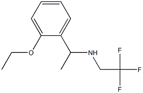 [1-(2-ethoxyphenyl)ethyl](2,2,2-trifluoroethyl)amine