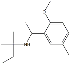 [1-(2-methoxy-5-methylphenyl)ethyl](2-methylbutan-2-yl)amine|