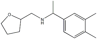 [1-(3,4-dimethylphenyl)ethyl](oxolan-2-ylmethyl)amine|