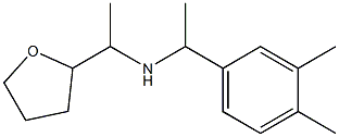 [1-(3,4-dimethylphenyl)ethyl][1-(oxolan-2-yl)ethyl]amine|