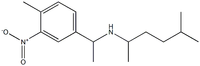 [1-(4-methyl-3-nitrophenyl)ethyl](5-methylhexan-2-yl)amine,,结构式
