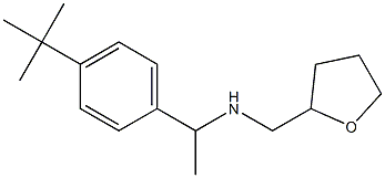 [1-(4-tert-butylphenyl)ethyl](oxolan-2-ylmethyl)amine,,结构式
