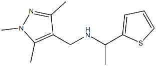 [1-(thiophen-2-yl)ethyl][(1,3,5-trimethyl-1H-pyrazol-4-yl)methyl]amine Struktur