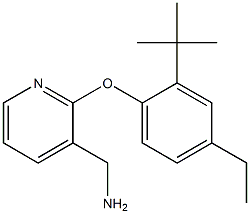 [2-(2-tert-butyl-4-ethylphenoxy)pyridin-3-yl]methanamine 化学構造式