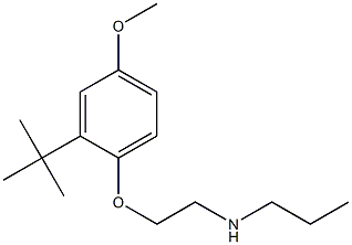 [2-(2-tert-butyl-4-methoxyphenoxy)ethyl](propyl)amine,,结构式