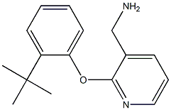 [2-(2-tert-butylphenoxy)pyridin-3-yl]methylamine Struktur