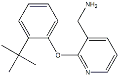 [2-(2-tert-butylphenoxy)pyridin-3-yl]methylamine