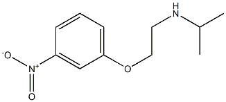[2-(3-nitrophenoxy)ethyl](propan-2-yl)amine 结构式