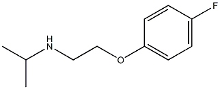 [2-(4-fluorophenoxy)ethyl](propan-2-yl)amine 化学構造式