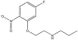 [2-(5-fluoro-2-nitrophenoxy)ethyl](propyl)amine,,结构式