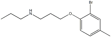 [3-(2-bromo-4-methylphenoxy)propyl](propyl)amine