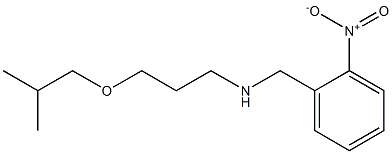 [3-(2-methylpropoxy)propyl][(2-nitrophenyl)methyl]amine Structure