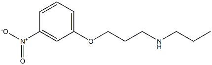 [3-(3-nitrophenoxy)propyl](propyl)amine,,结构式