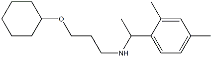 [3-(cyclohexyloxy)propyl][1-(2,4-dimethylphenyl)ethyl]amine Structure