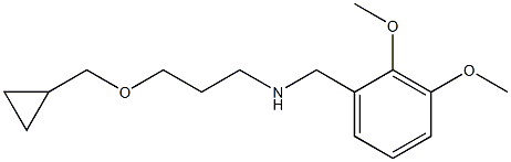 [3-(cyclopropylmethoxy)propyl][(2,3-dimethoxyphenyl)methyl]amine,,结构式