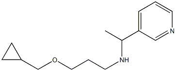 [3-(cyclopropylmethoxy)propyl][1-(pyridin-3-yl)ethyl]amine