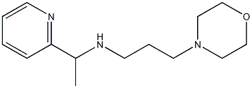 [3-(morpholin-4-yl)propyl][1-(pyridin-2-yl)ethyl]amine|