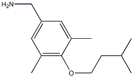  [3,5-dimethyl-4-(3-methylbutoxy)phenyl]methanamine