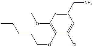 [3-chloro-5-methoxy-4-(pentyloxy)phenyl]methanamine 化学構造式