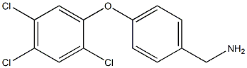 [4-(2,4,5-trichlorophenoxy)phenyl]methanamine|