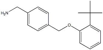 [4-(2-tert-butylphenoxymethyl)phenyl]methanamine Struktur