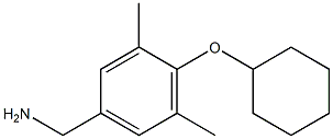 [4-(cyclohexyloxy)-3,5-dimethylphenyl]methanamine 结构式