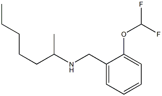 {[2-(difluoromethoxy)phenyl]methyl}(heptan-2-yl)amine