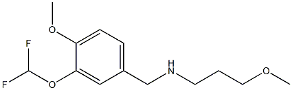 {[3-(difluoromethoxy)-4-methoxyphenyl]methyl}(3-methoxypropyl)amine 结构式