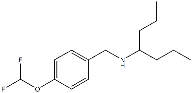 {[4-(difluoromethoxy)phenyl]methyl}(heptan-4-yl)amine