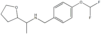 {[4-(difluoromethoxy)phenyl]methyl}[1-(oxolan-2-yl)ethyl]amine|