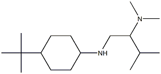  {1-[(4-tert-butylcyclohexyl)amino]-3-methylbutan-2-yl}dimethylamine