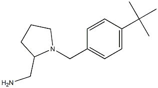 {1-[(4-tert-butylphenyl)methyl]pyrrolidin-2-yl}methanamine Structure