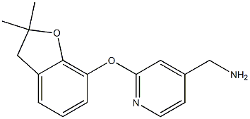 {2-[(2,2-dimethyl-2,3-dihydro-1-benzofuran-7-yl)oxy]pyridin-4-yl}methylamine 结构式