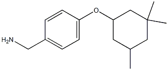 {4-[(3,3,5-trimethylcyclohexyl)oxy]phenyl}methanamine