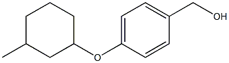  {4-[(3-methylcyclohexyl)oxy]phenyl}methanol