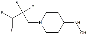 1-(2,2,3,3-tetrafluoropropyl)piperidine-4-hydroxylamine