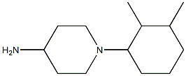 1-(2,3-dimethylcyclohexyl)piperidin-4-amine